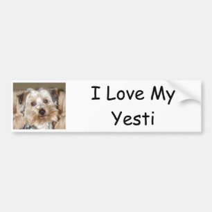 I Love My Yesti Bumper Sticker