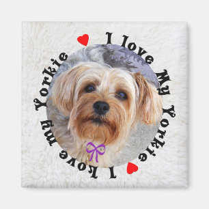 I Love My Yorkie Magnet