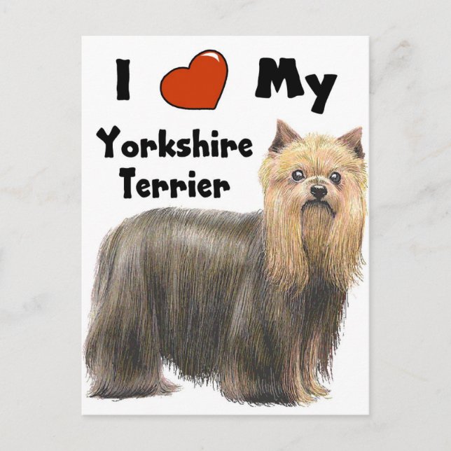 I Love My Yorkie Postcard (Front)