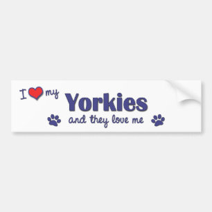 I Love My Yorkies (Multiple Dogs) Bumper Sticker