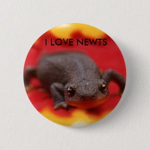 I Love Newts 2 Inch Round Button