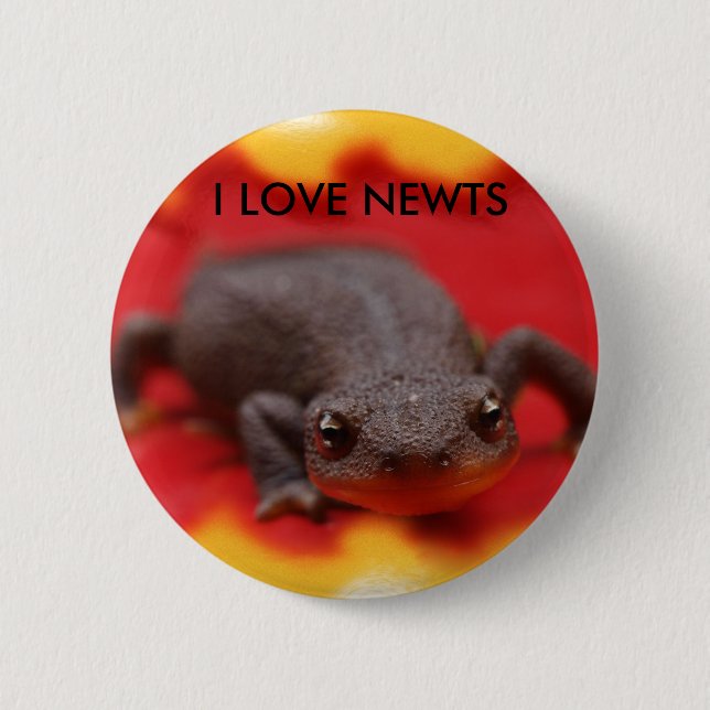 I Love Newts 2 Inch Round Button (Front)