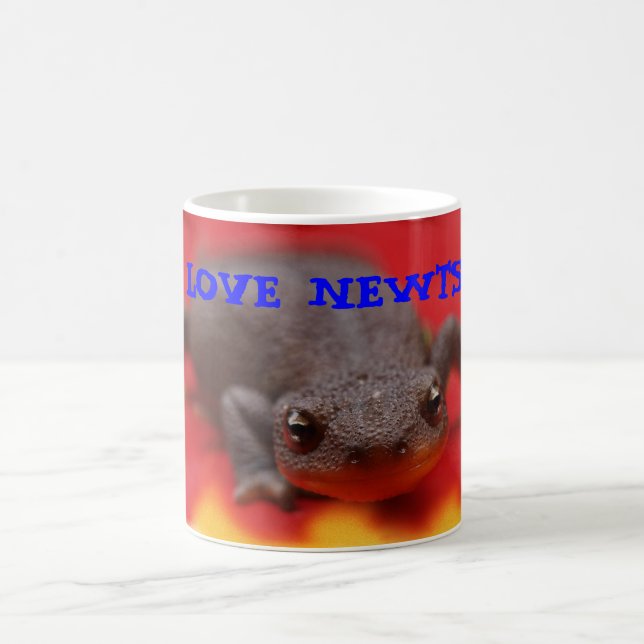 I Love Newts Mugs (Center)