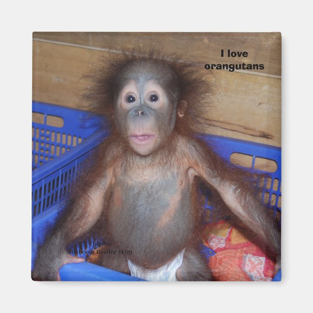 I love orangutans magnet (Front)