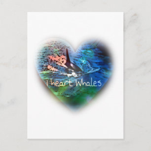 I love Orca Whales in heart gifts Postcard