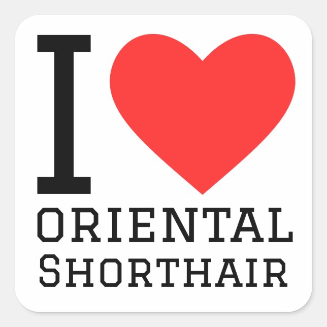 I love oriental shorthair  square sticker (Front)