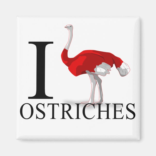I Love Ostriches Magnets (Front)
