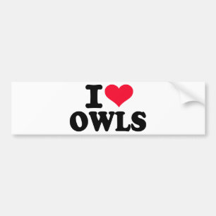 I love Owls Bumper Sticker