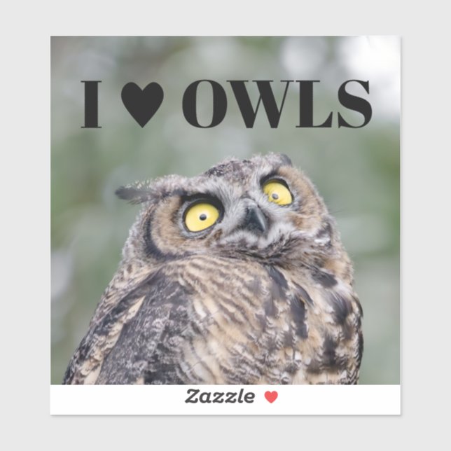 I Love Owls Sticker (Sheet)