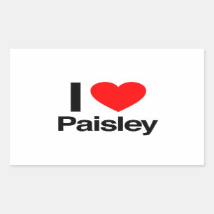 i love paisley sticker