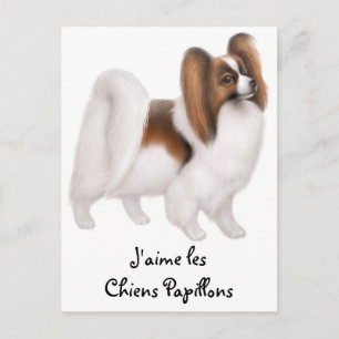 I Love Papillon Dogs in French Postcard