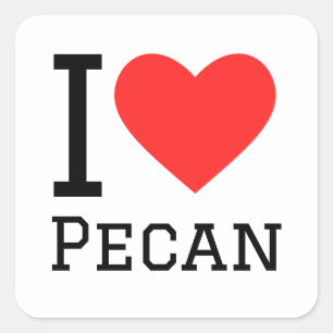 I love pecan square sticker