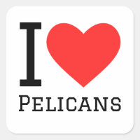 I love pelicans