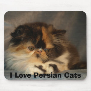 I Love Persian Cats Mouse Pad