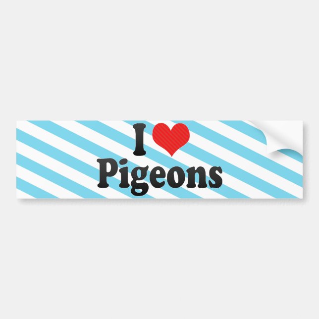 I Love Pigeons Bumper Sticker (Front)