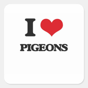 I love Pigeons Square Sticker