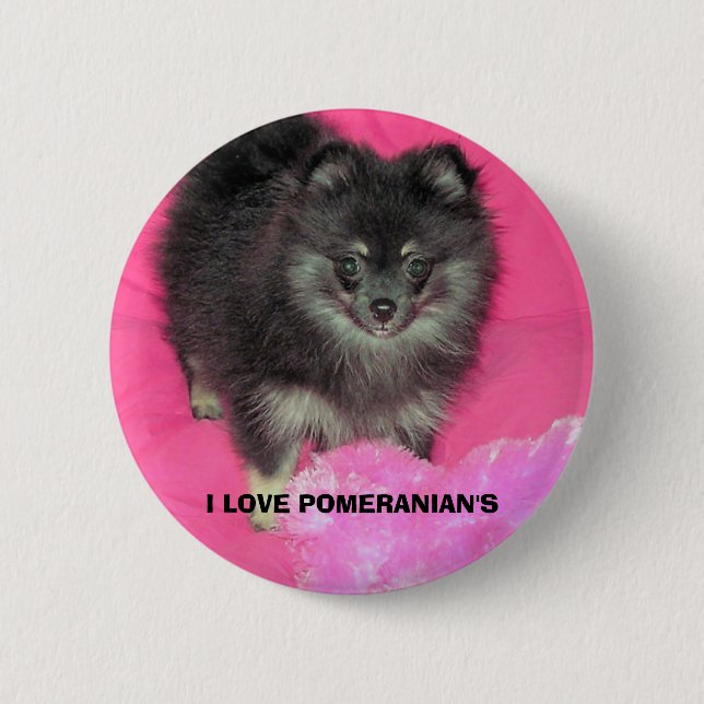I LOVE POMERANIAN'S 2 INCH ROUND BUTTON (Front)