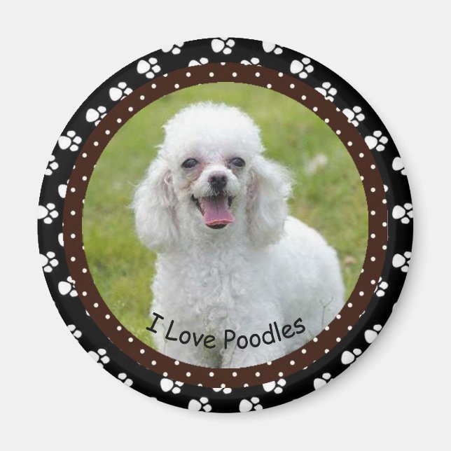 I love Poodles  Magnet (Front)