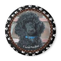 I love Poodles Magnet