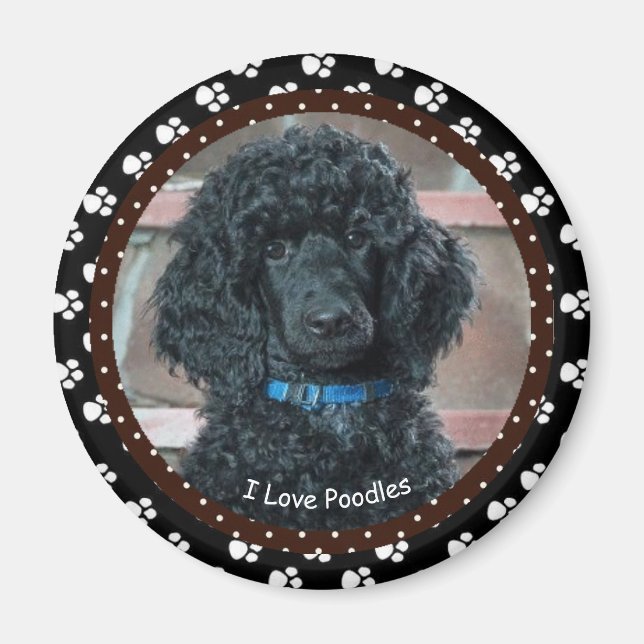 I love Poodles Magnet (Front)