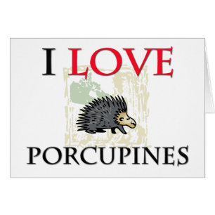 I Love Porcupines