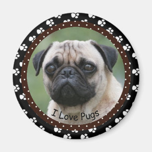 I love Pugs Magnet
