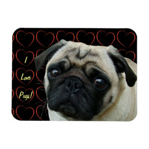 I Love Pugs with Hearts Flexible Magnet