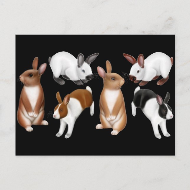 I Love Rabbits Postcard (Front)
