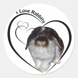 I Love Rabbits Sticker