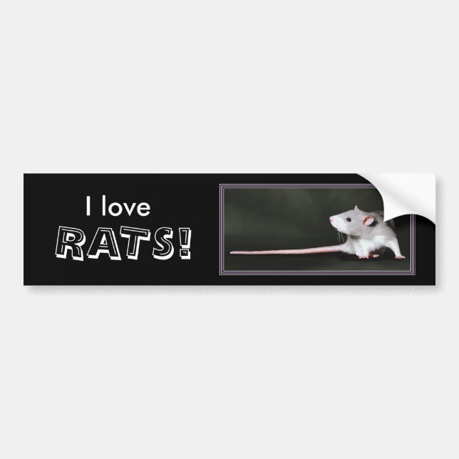 I love RATS! - rat bumper sticker (Front)