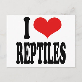 I Love Reptiles Postcard