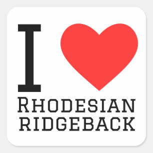 I love Rhodesian ridgeback  Square Sticker