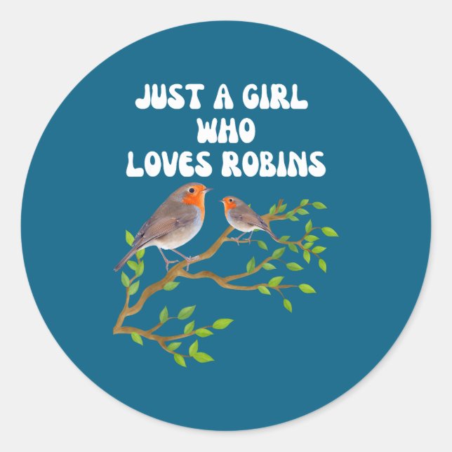 I Love Robins Bird Lover Colourful Present  Classic Round Sticker (Front)