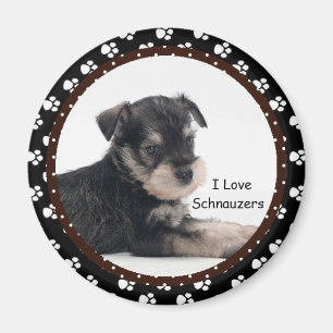 I love Schnauzers  Magnet