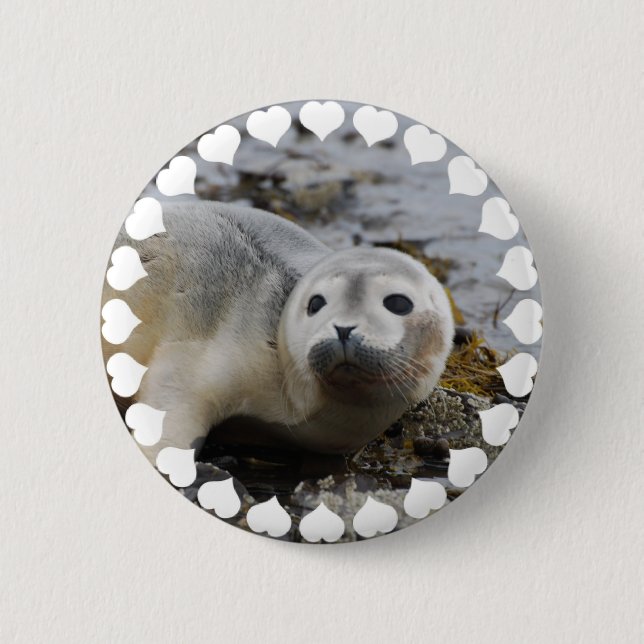 I Love Seals 2 Inch Round Button (Front)