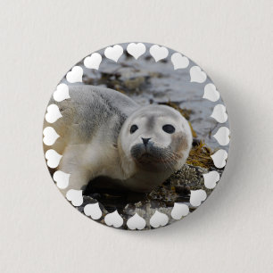 I Love Seals 2 Inch Round Button