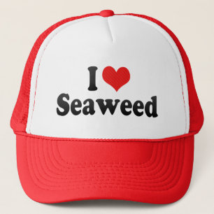 I Love Seaweed Trucker Hat