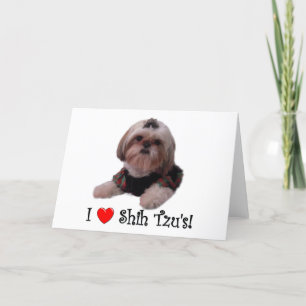 I Love Shih Tzu Card