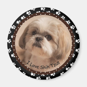 I love Shih Tzus Magnet