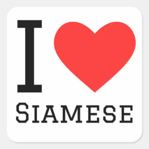 I love Siamese  Square Sticker