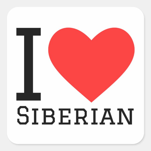 I love siberian cat square sticker (Front)