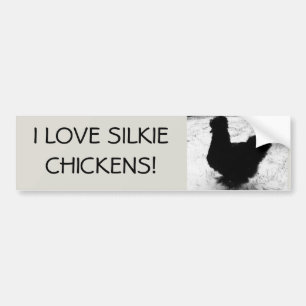 I love silkie chickens bumper sticker