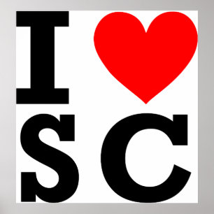I Love South Carolina Design Poster