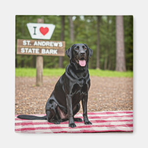 I love St. Andrew's State Bark Magnet