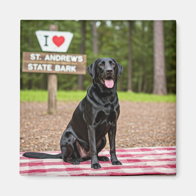 I love St. Andrew's State Bark Magnet (Front)