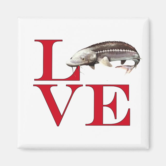 I Love Sturgeon Magnet (Front)