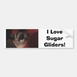 I Love Sugar Gliders! Bumper Sticker