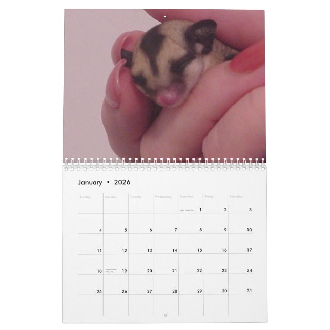 I love Sugar gliders calender Calendar (Jan 2026)