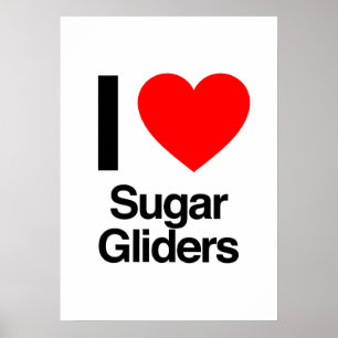i love sugar gliders poster