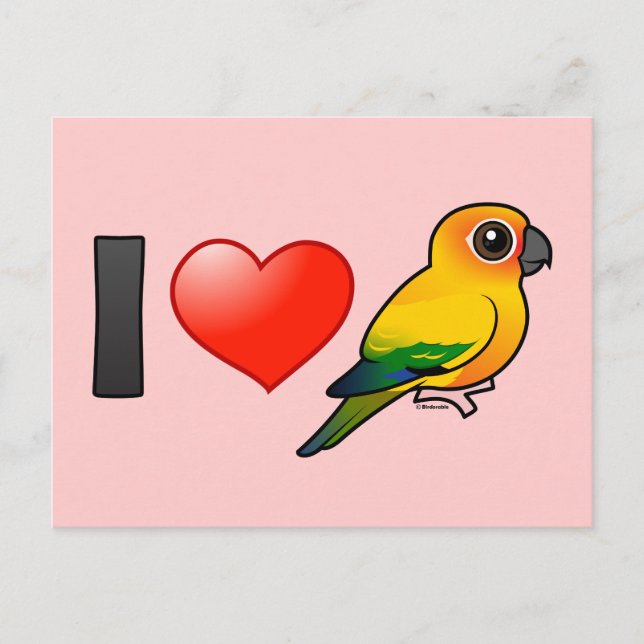 I Love Sun Conures Postcard (Front)